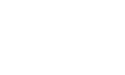 Linkdaddy Africa logo